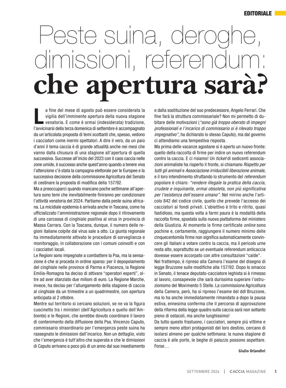 Caccia Magazine Preview Pages