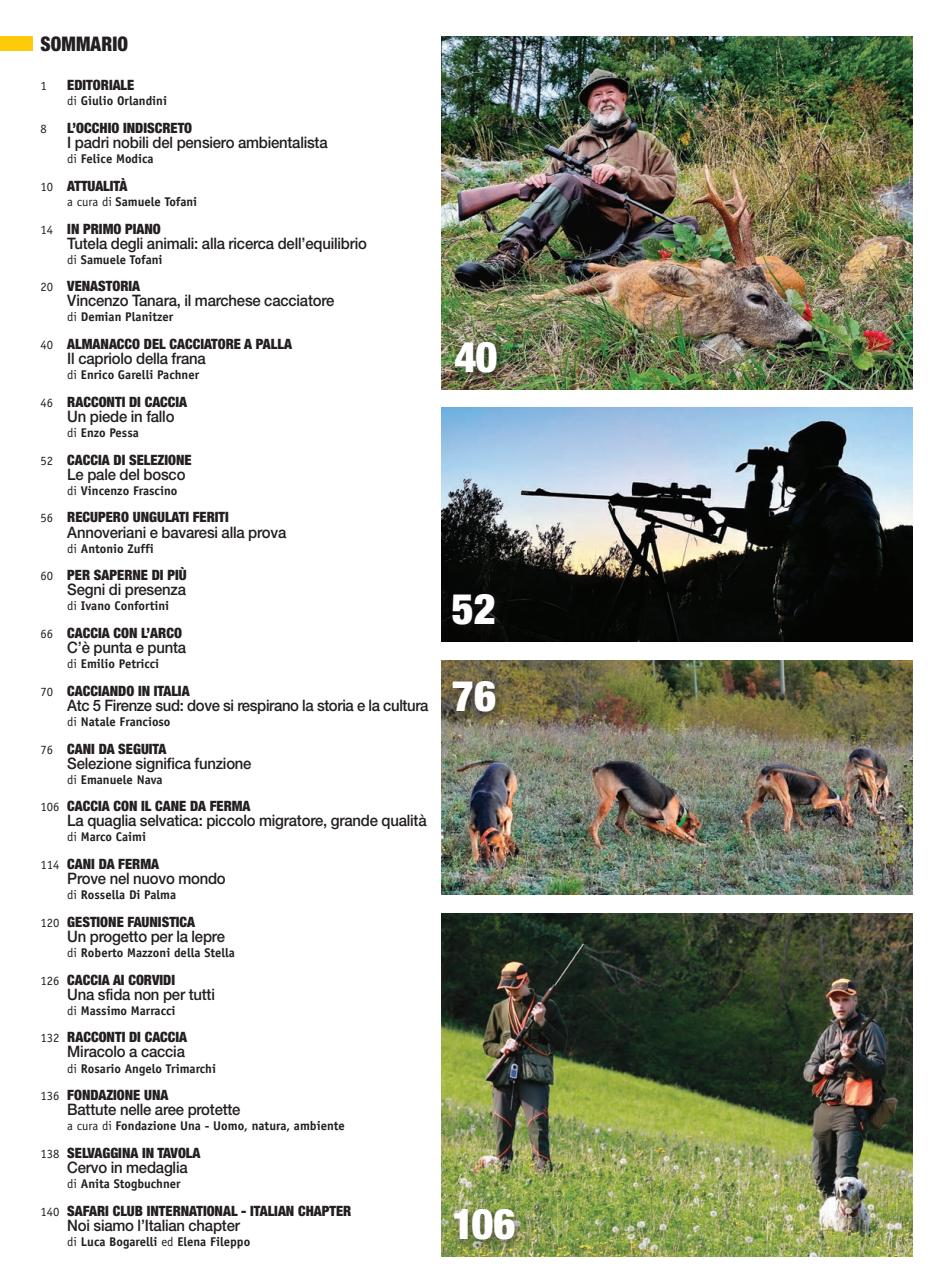 Caccia Magazine Preview Pages