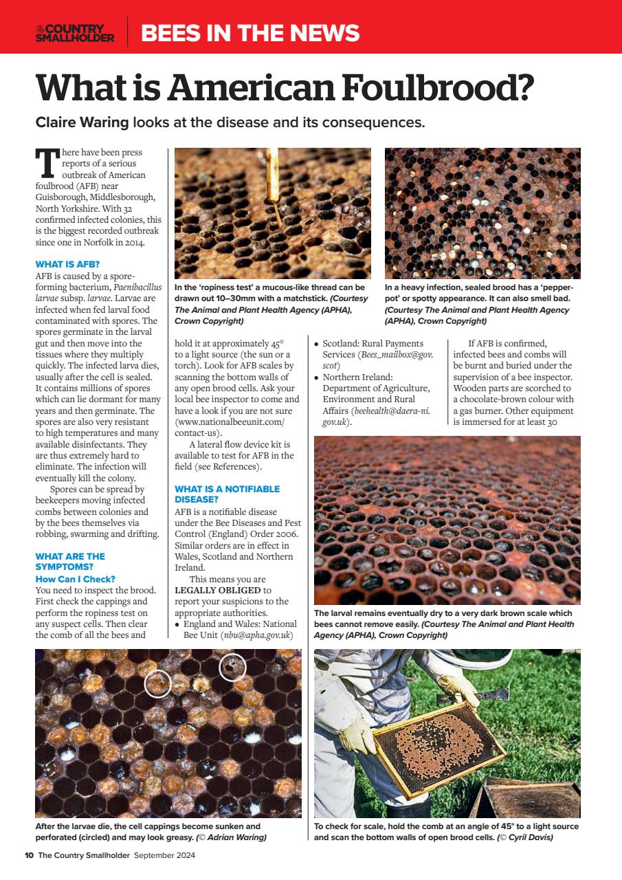 The Country Smallholder Preview Pages