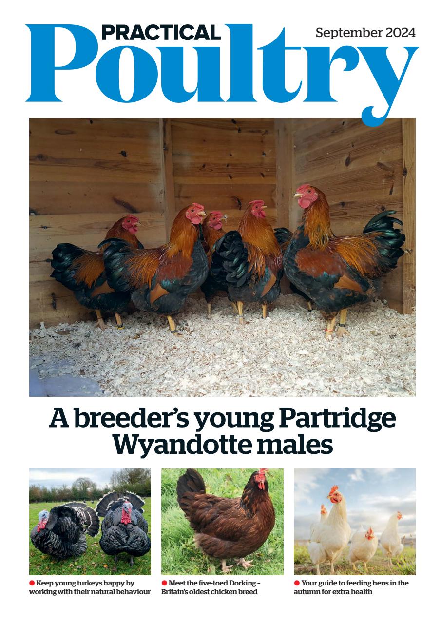 The Country Smallholder Preview Pages