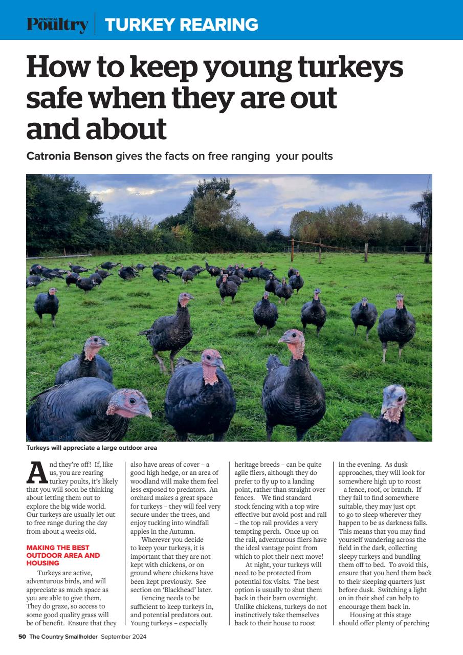 The Country Smallholder Preview Pages