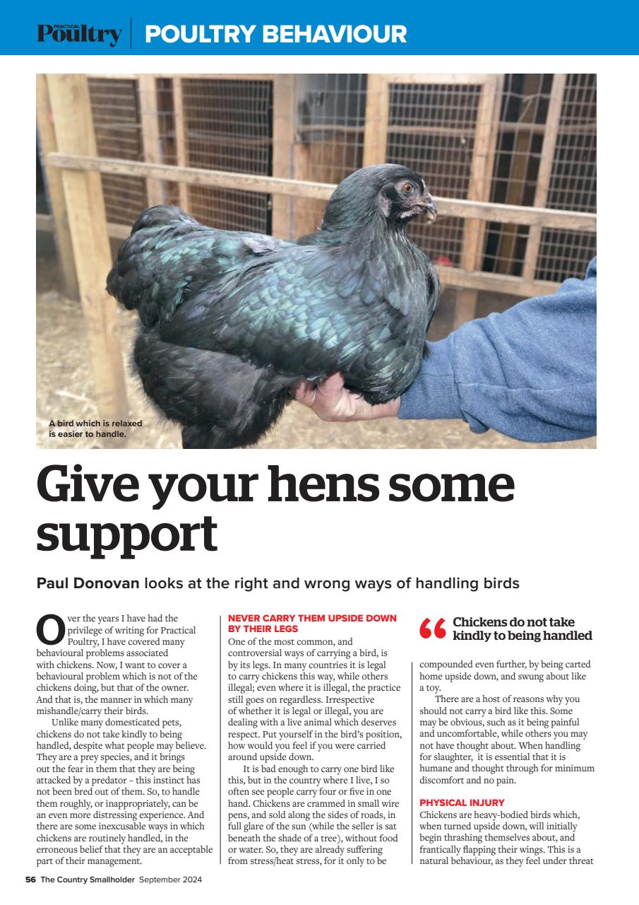 The Country Smallholder Preview Pages