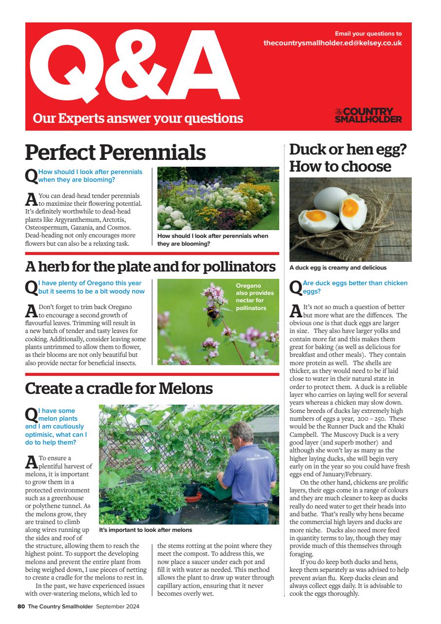 The Country Smallholder Preview Pages