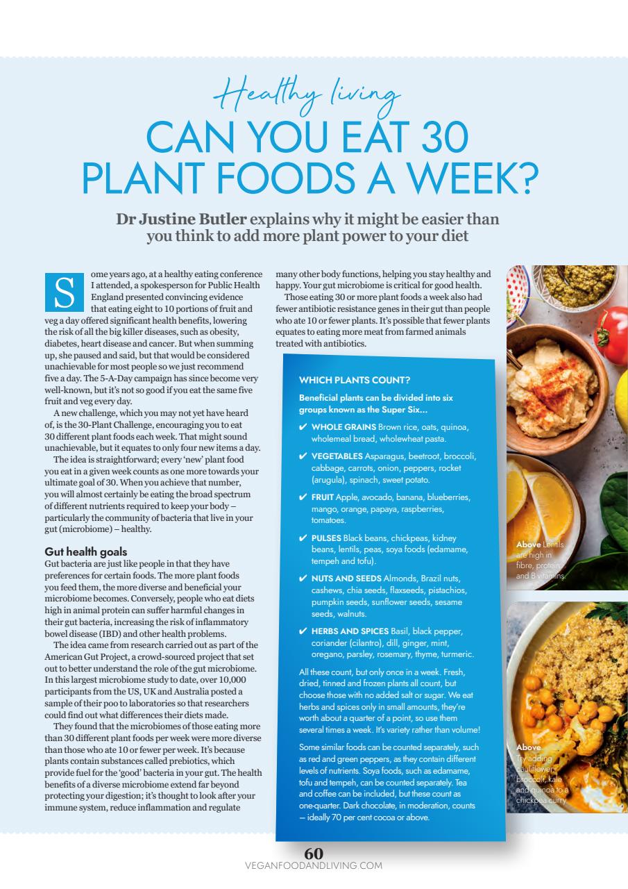 Vegan Food & Living Magazine Preview Pages