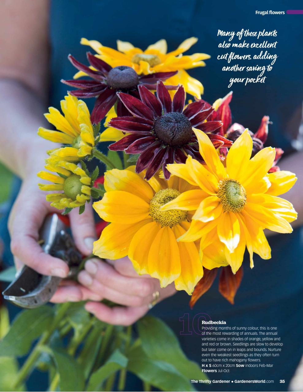 BBC Gardeners’ World Magazine Preview Pages