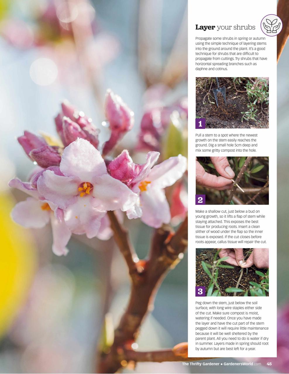 BBC Gardeners’ World Magazine Preview Pages