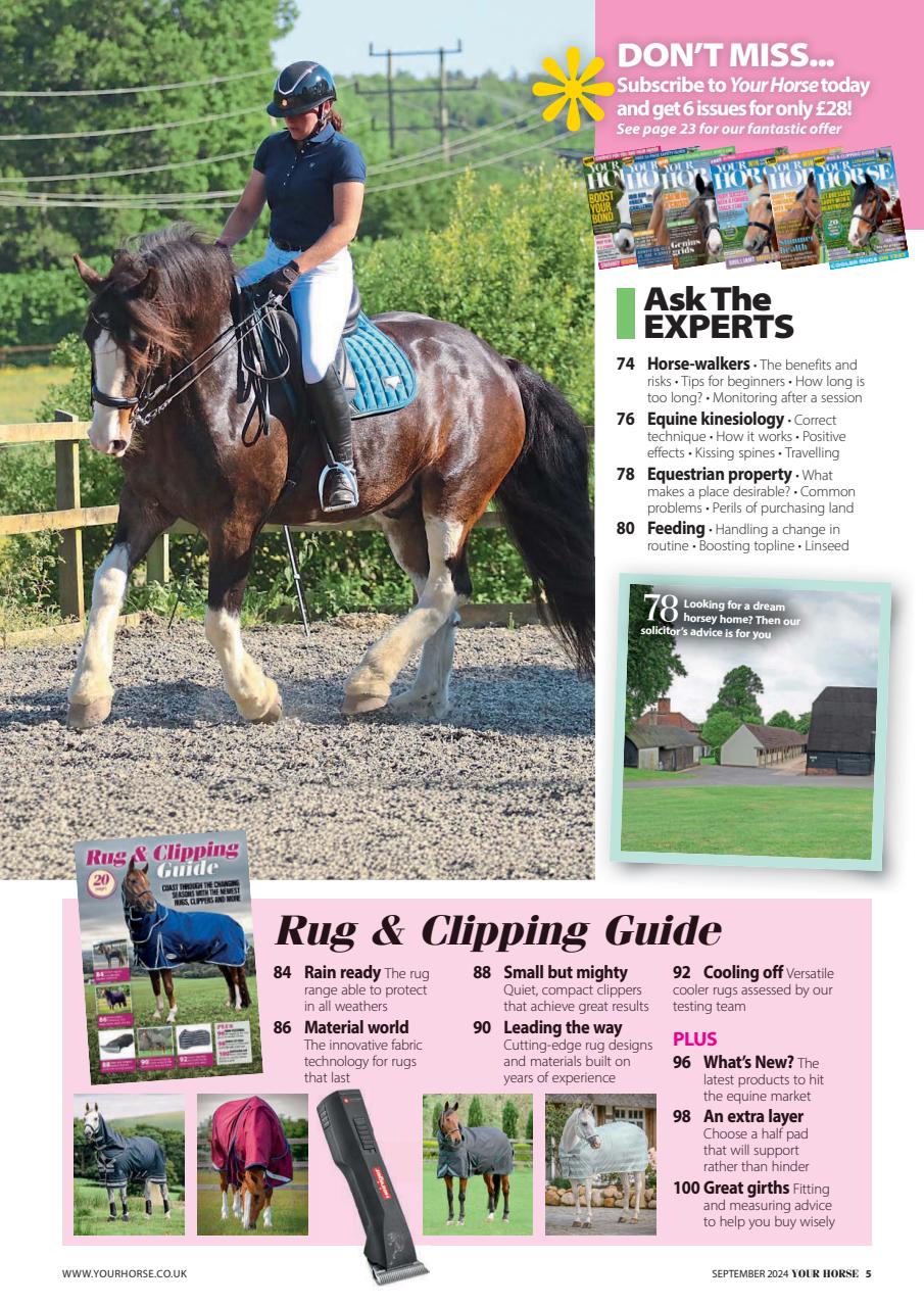 Your Horse Preview Pages