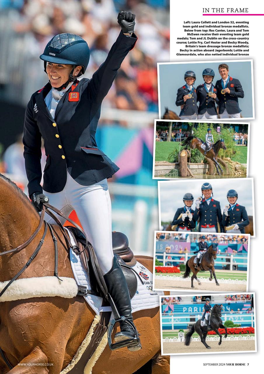 Your Horse Preview Pages