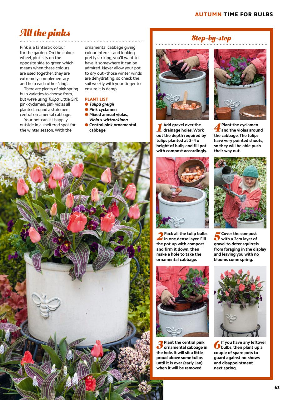 Home Interests Bookazine Preview Pages