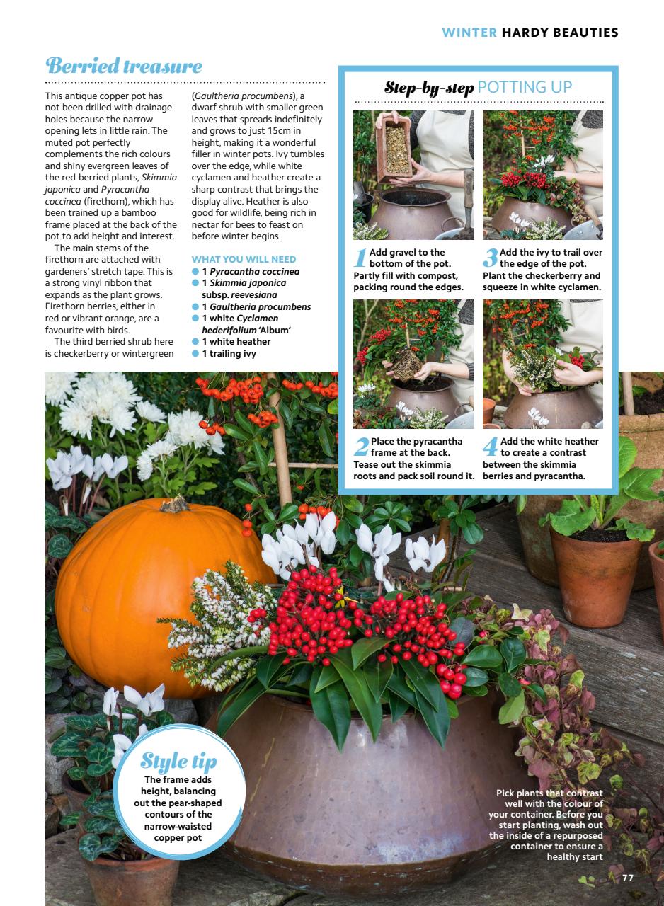 Home Interests Bookazine Preview Pages