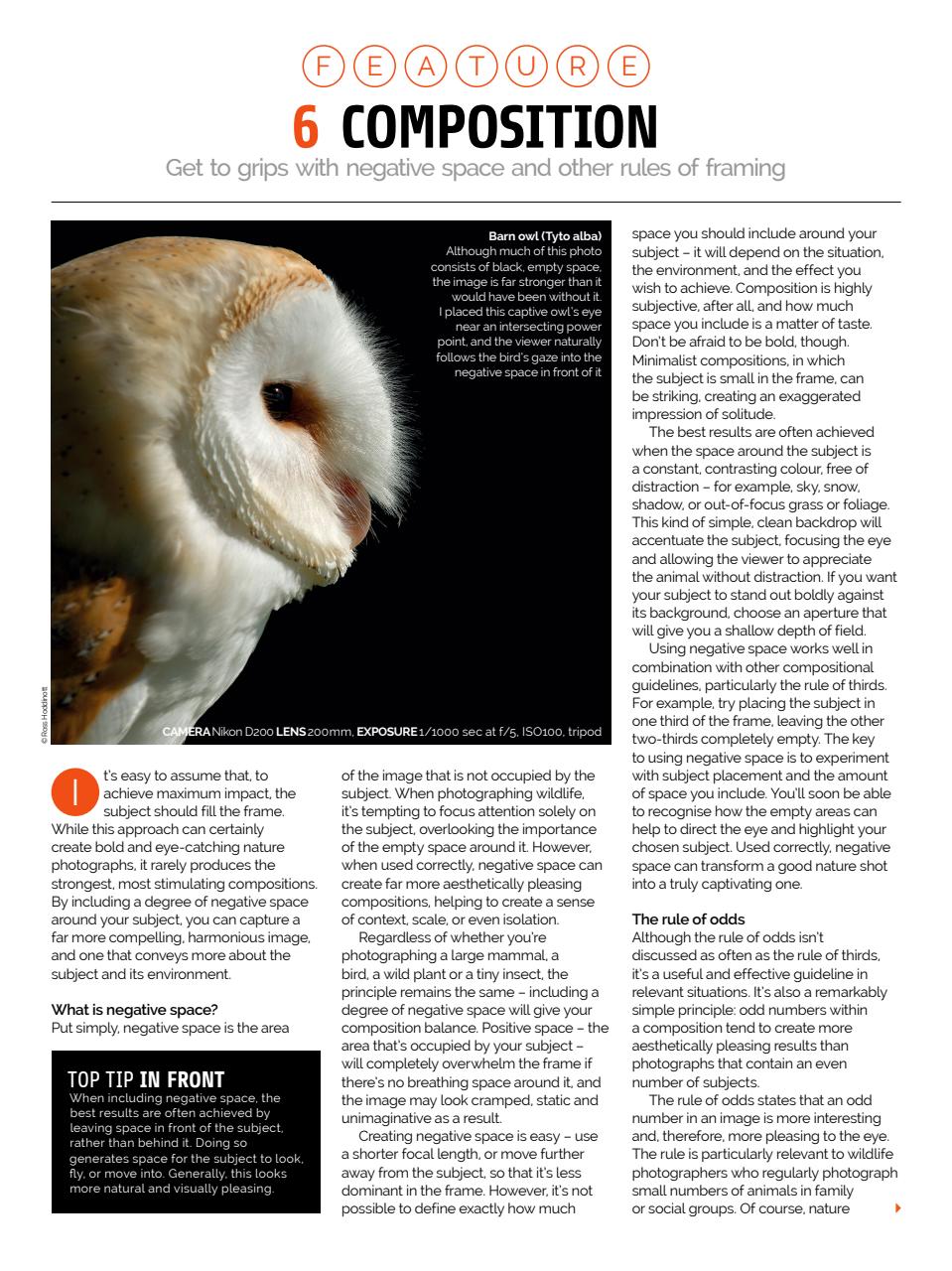 Photography Week Preview Pages