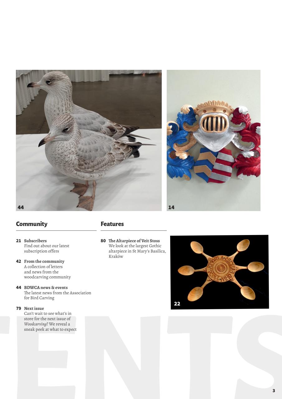 Woodcarving Preview Pages