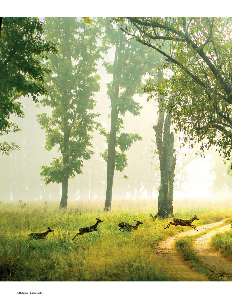 Outdoor Photography Preview Pages