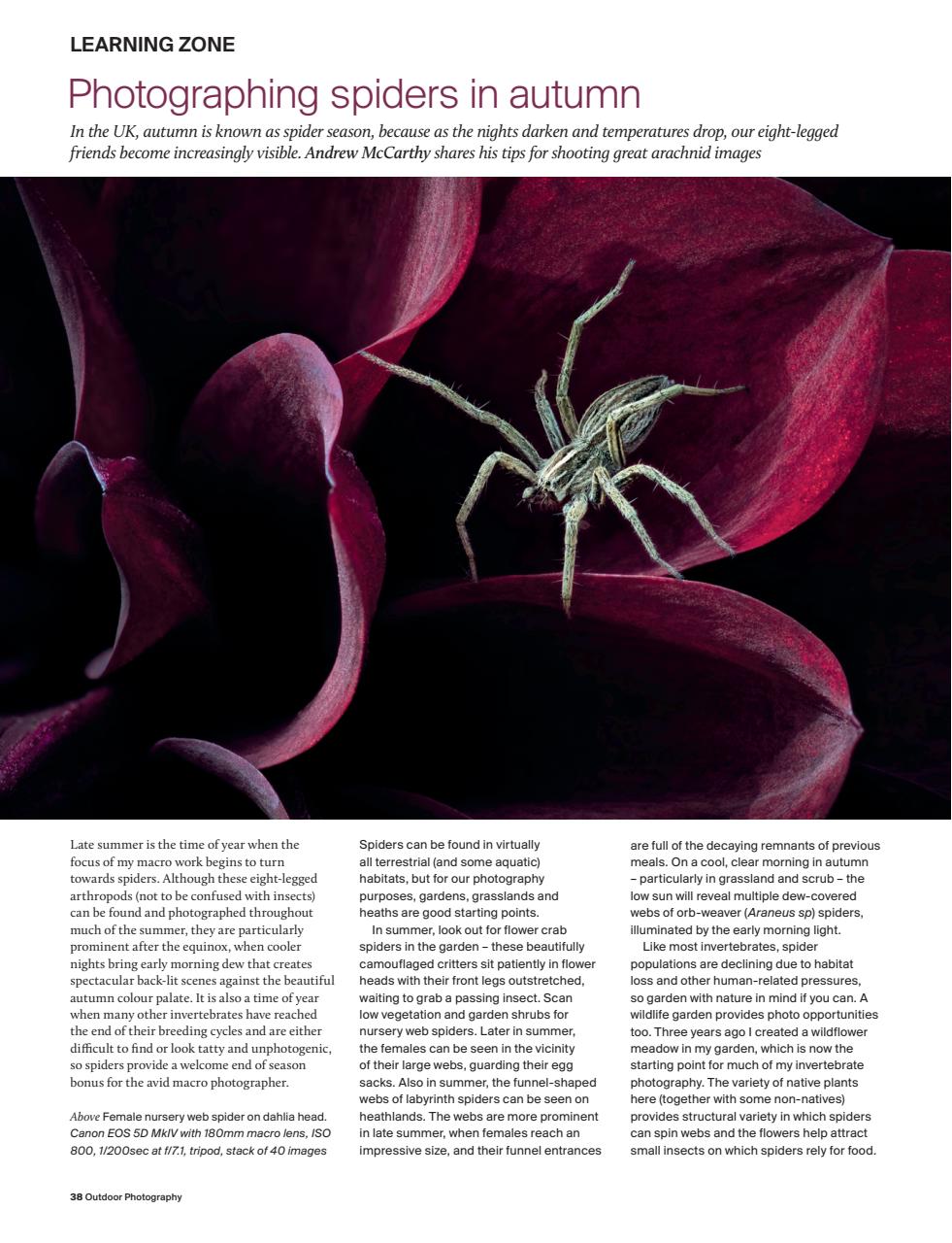 Outdoor Photography Preview Pages