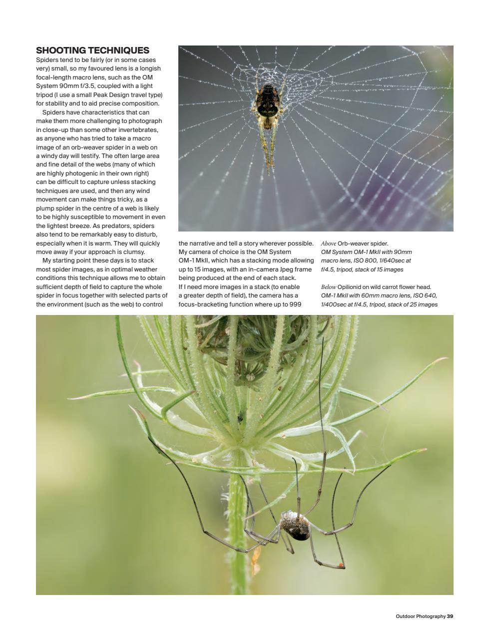 Outdoor Photography Preview Pages