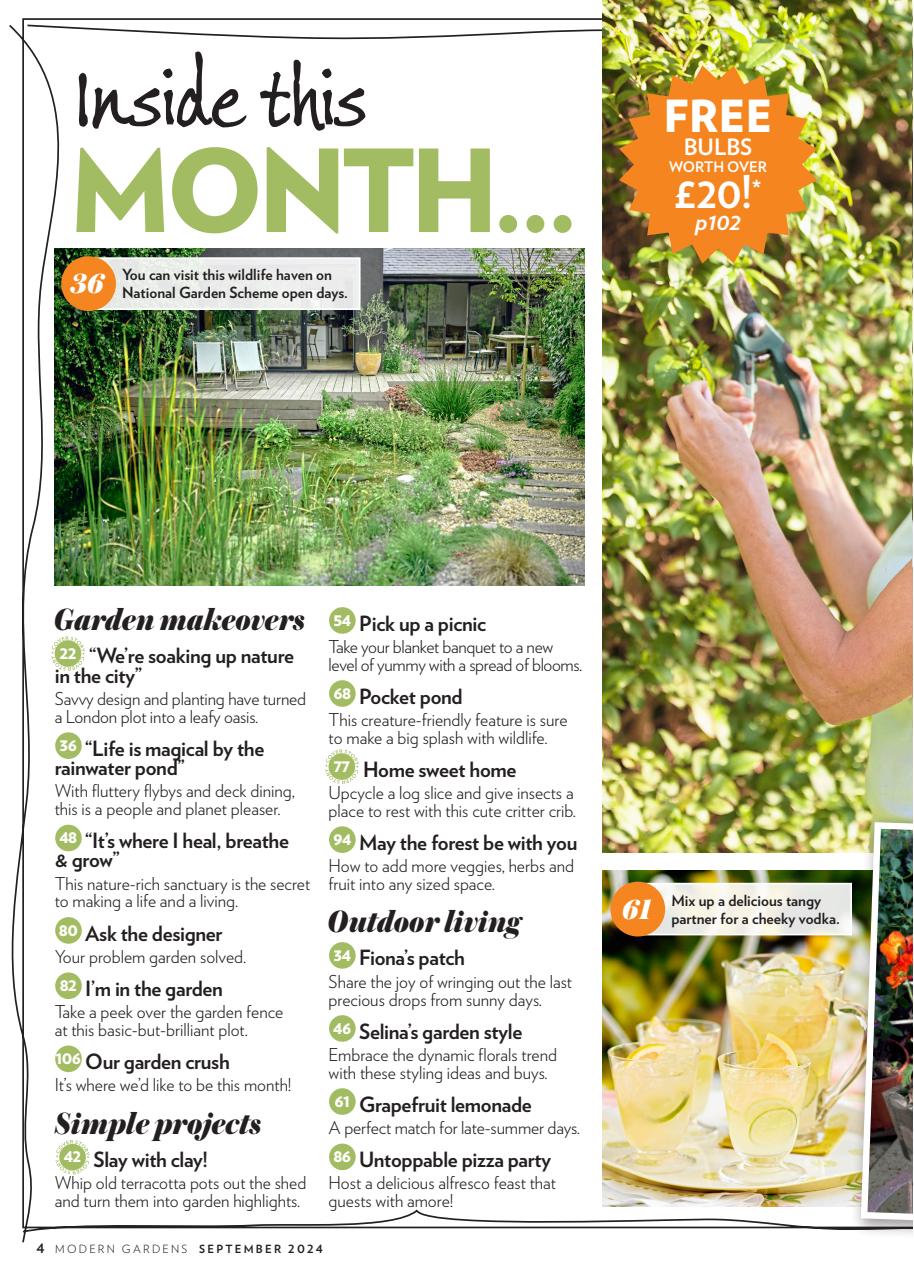 Modern Gardens Preview Pages
