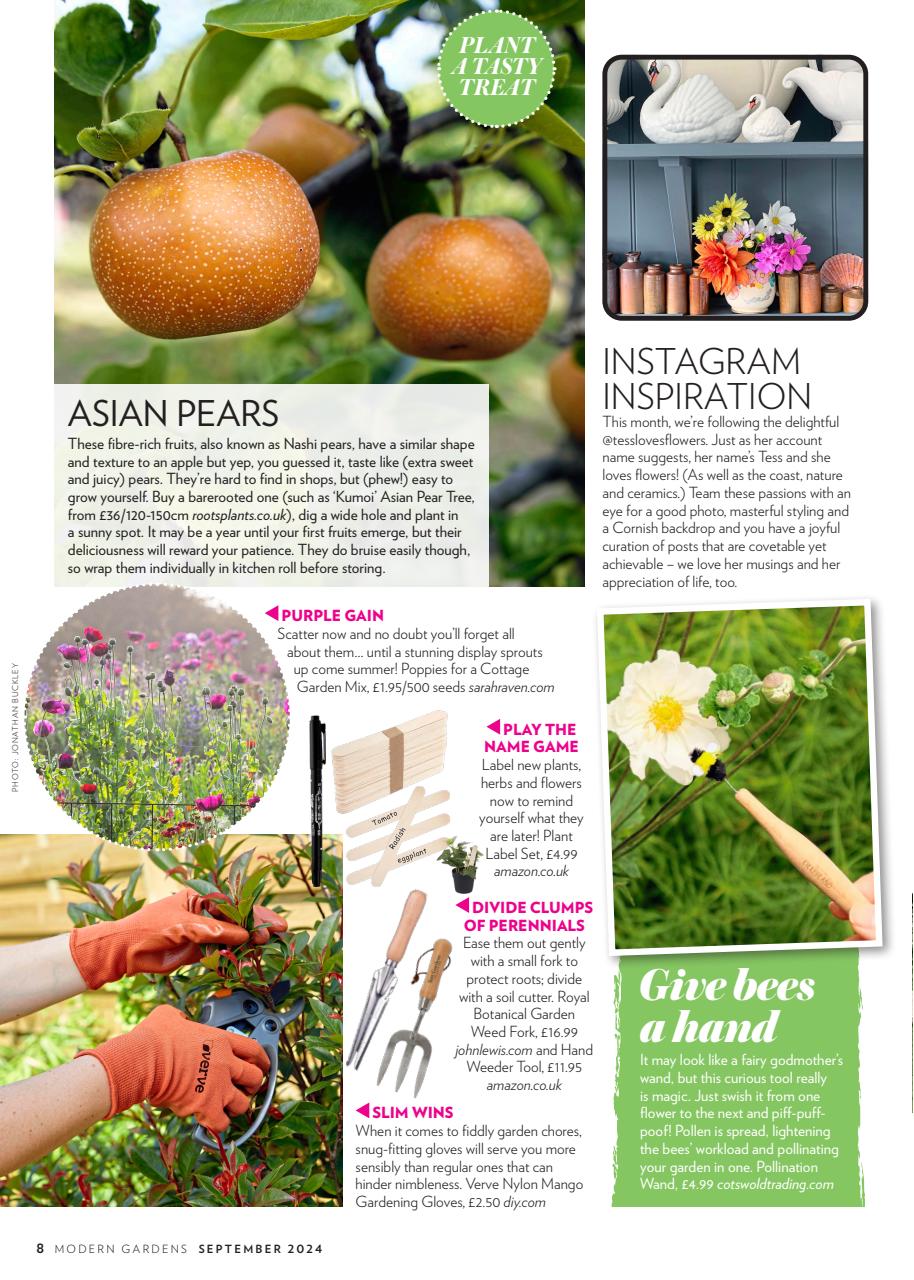Modern Gardens Preview Pages