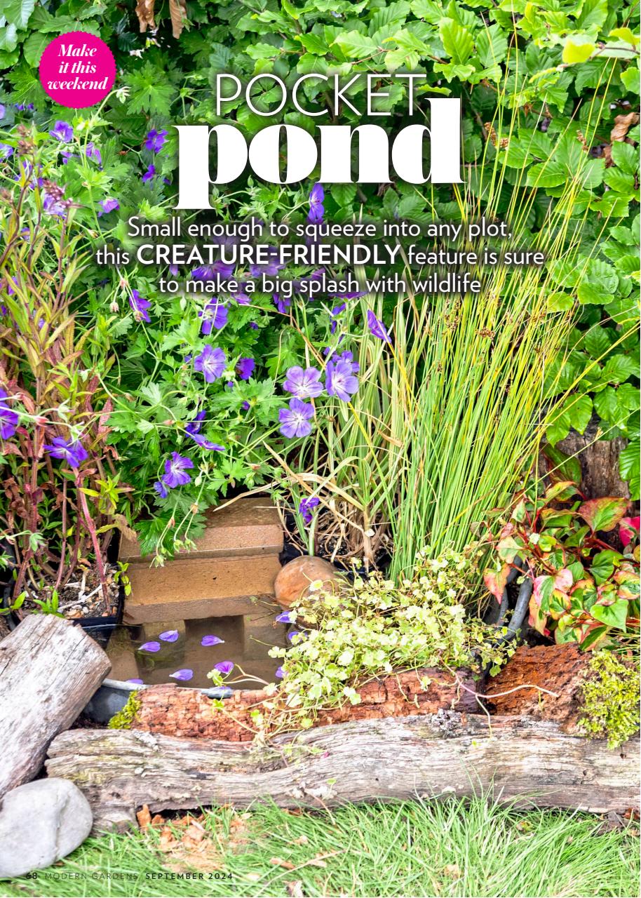 Modern Gardens Preview Pages