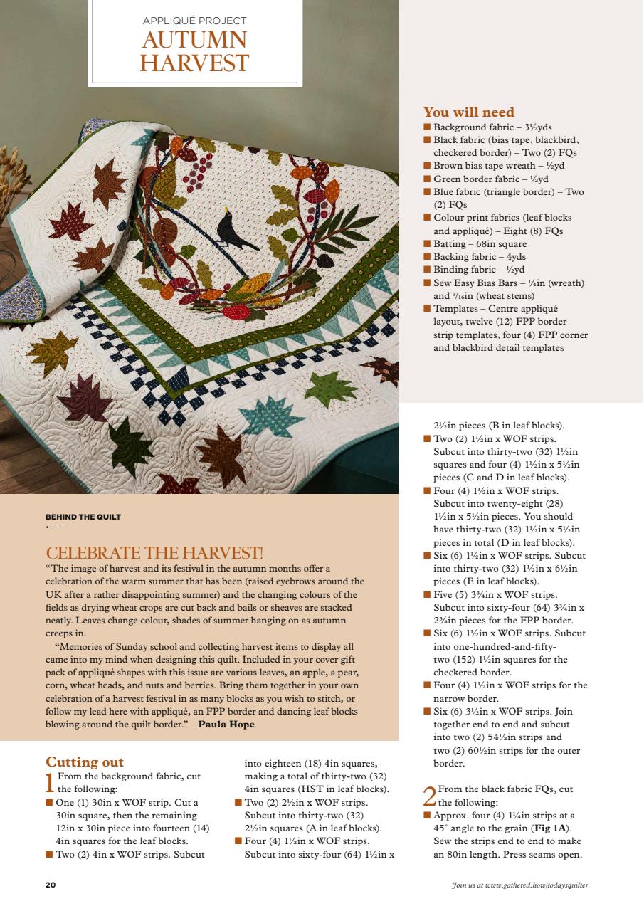 Today’s Quilter Preview Pages