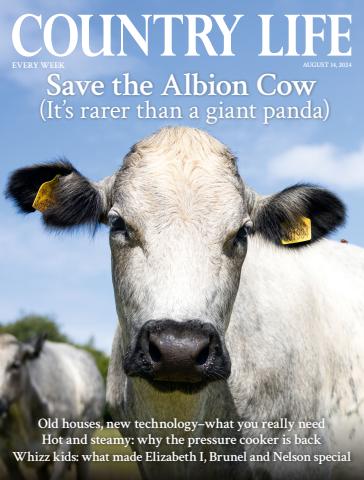 Country Life issue 14th August 2024