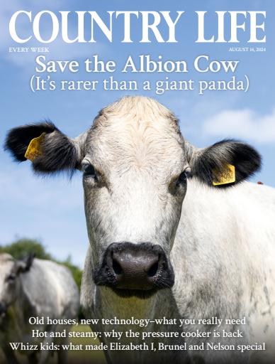Country Life issue 