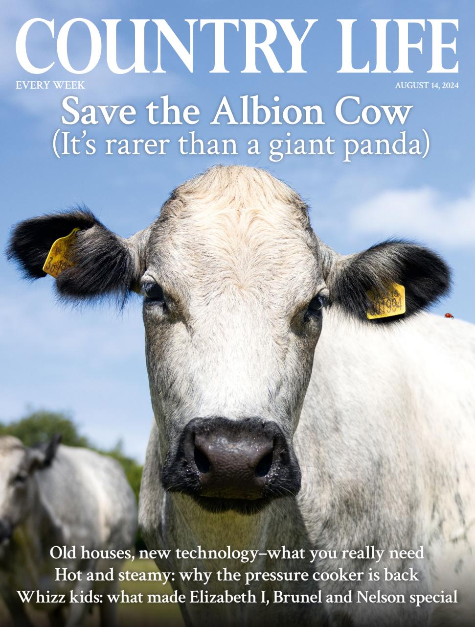 Country Life Preview Pages