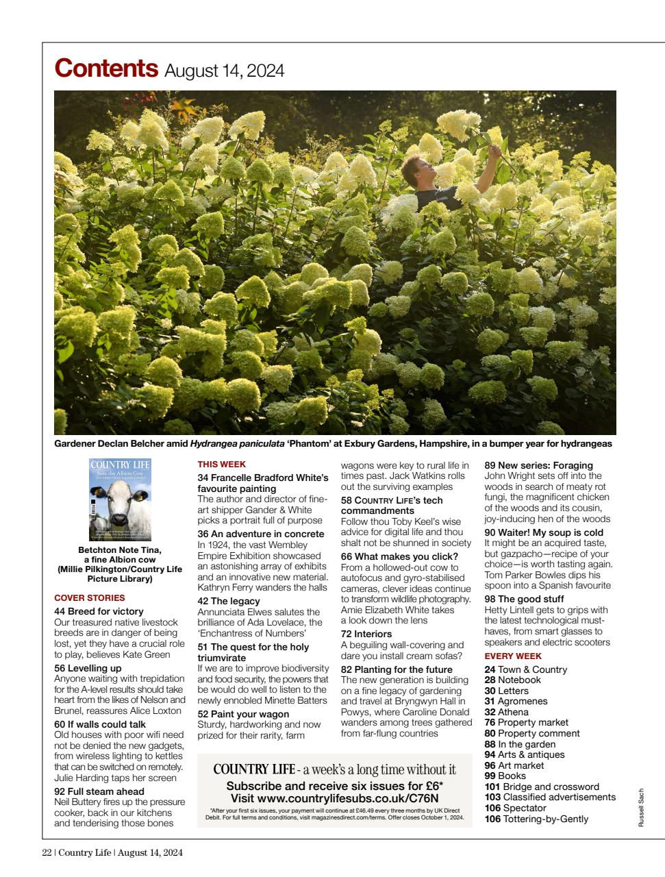 Country Life Preview Pages