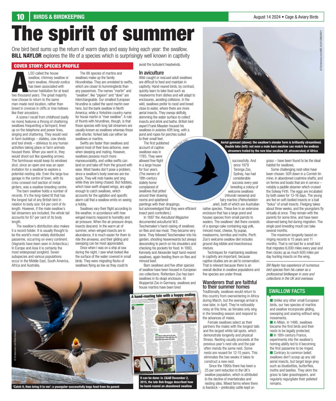 Cage & Aviary Birds Preview Pages