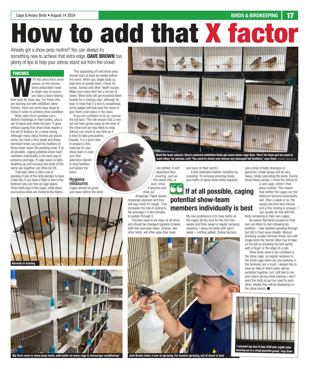 Cage & Aviary Birds Preview Pages