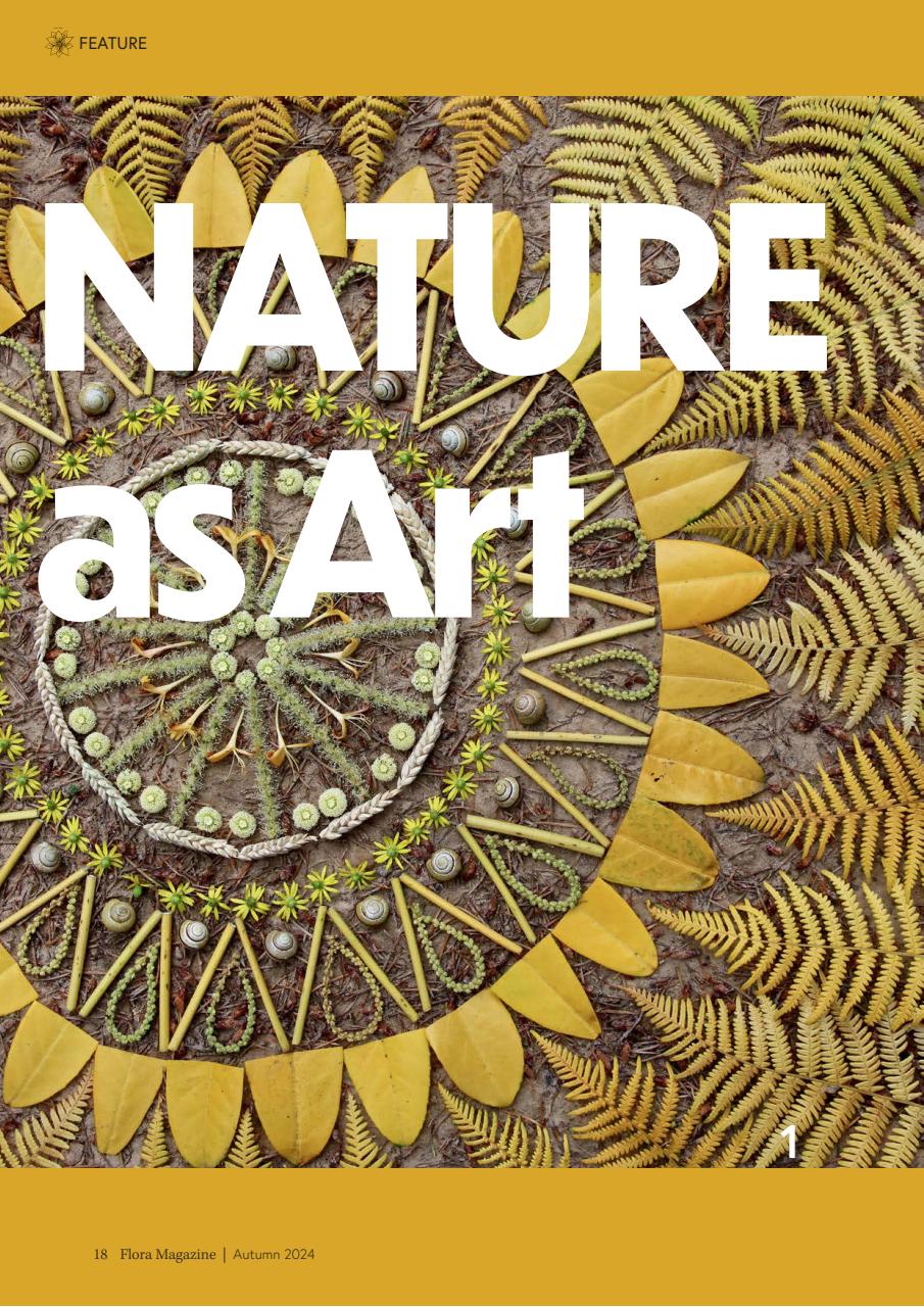 Flora International Preview Pages