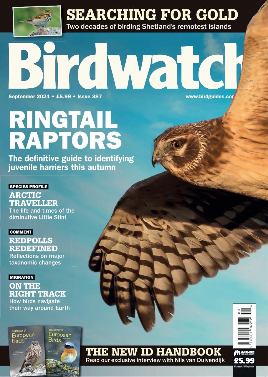 Birdwatch Magazine Preview Pages