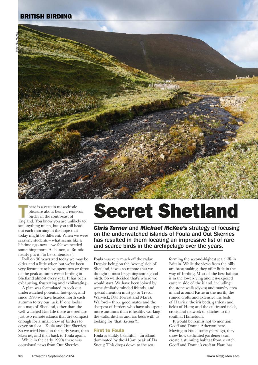 Birdwatch Magazine Preview Pages