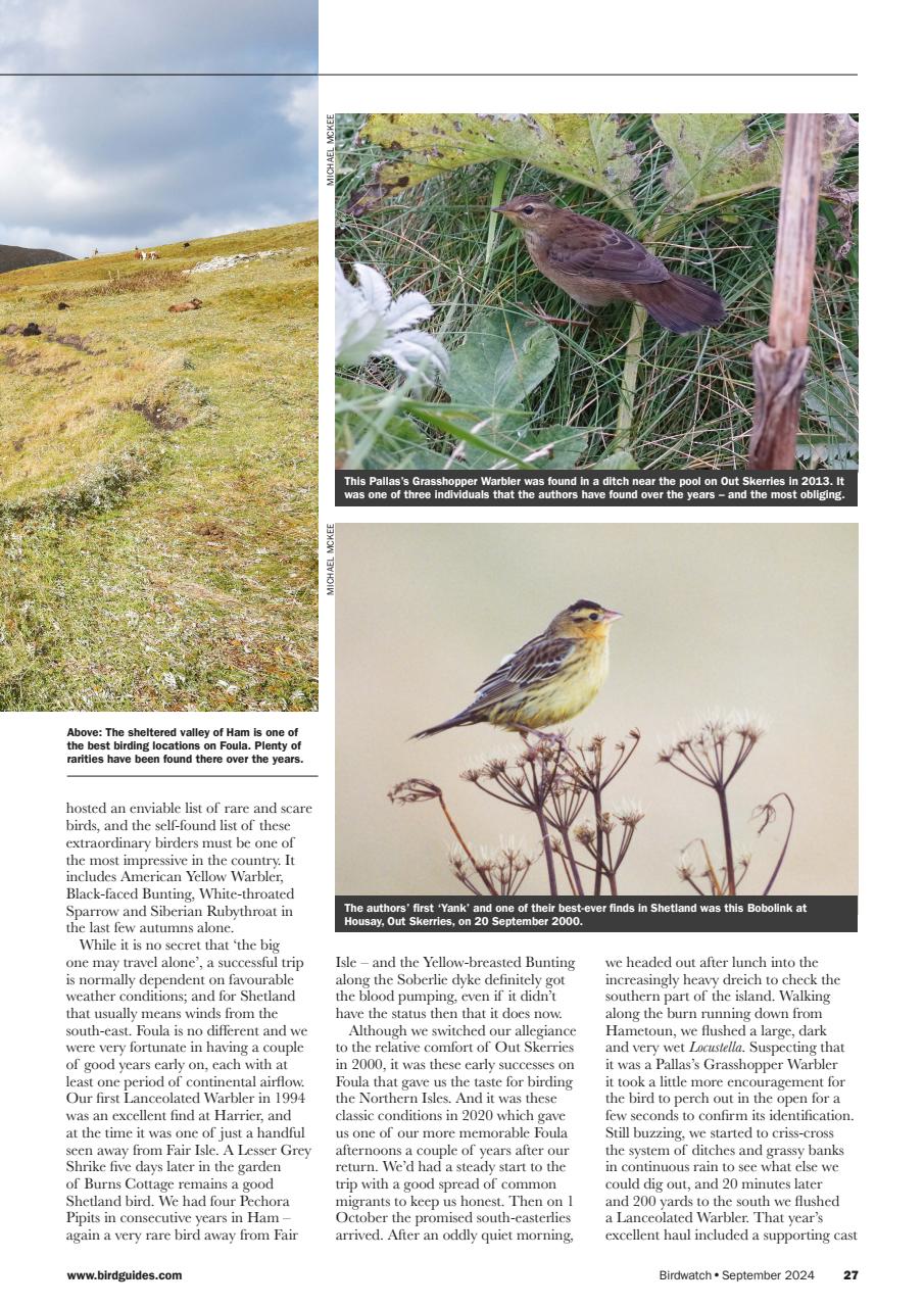 Birdwatch Magazine Preview Pages