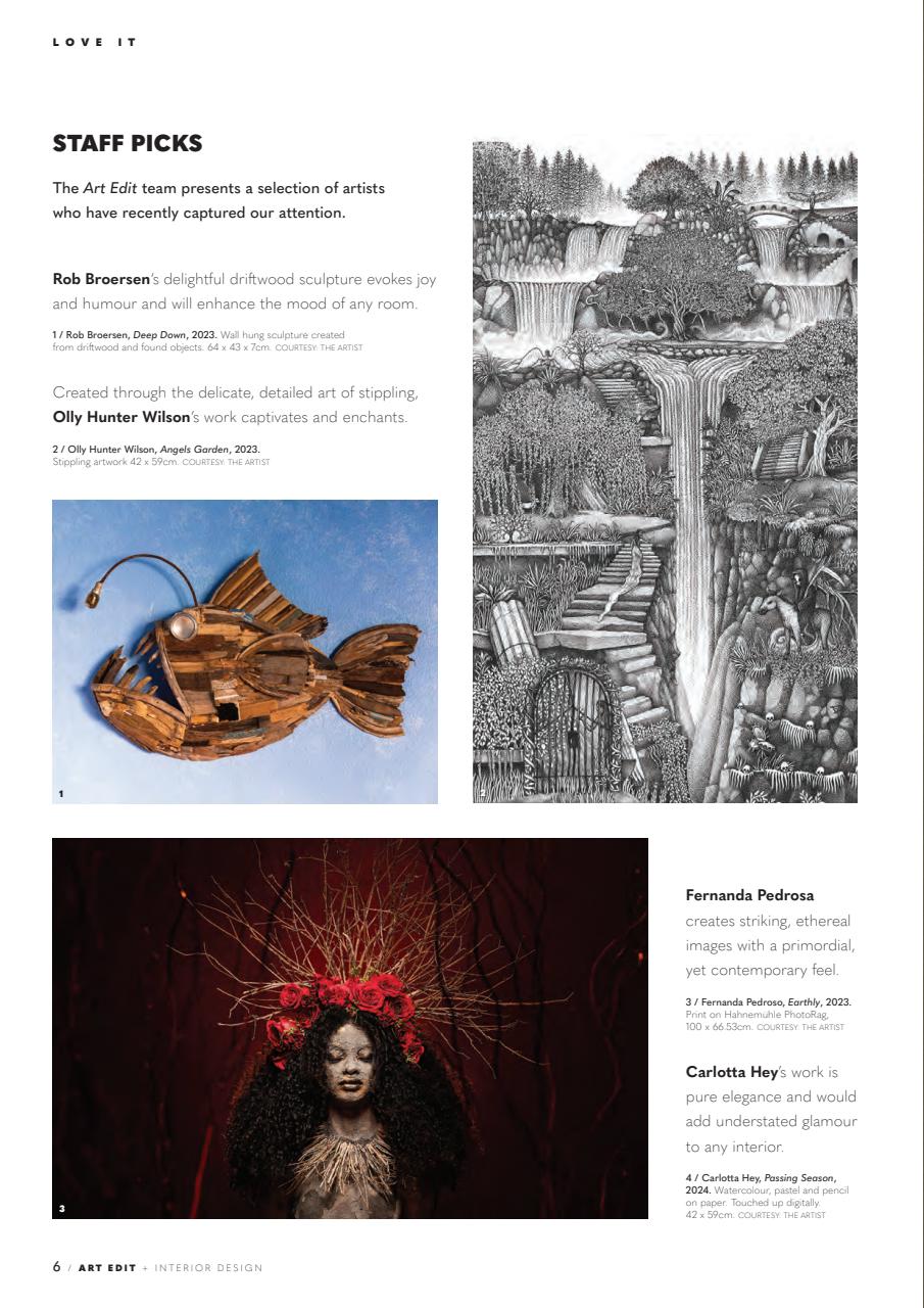 Art Edit Preview Pages