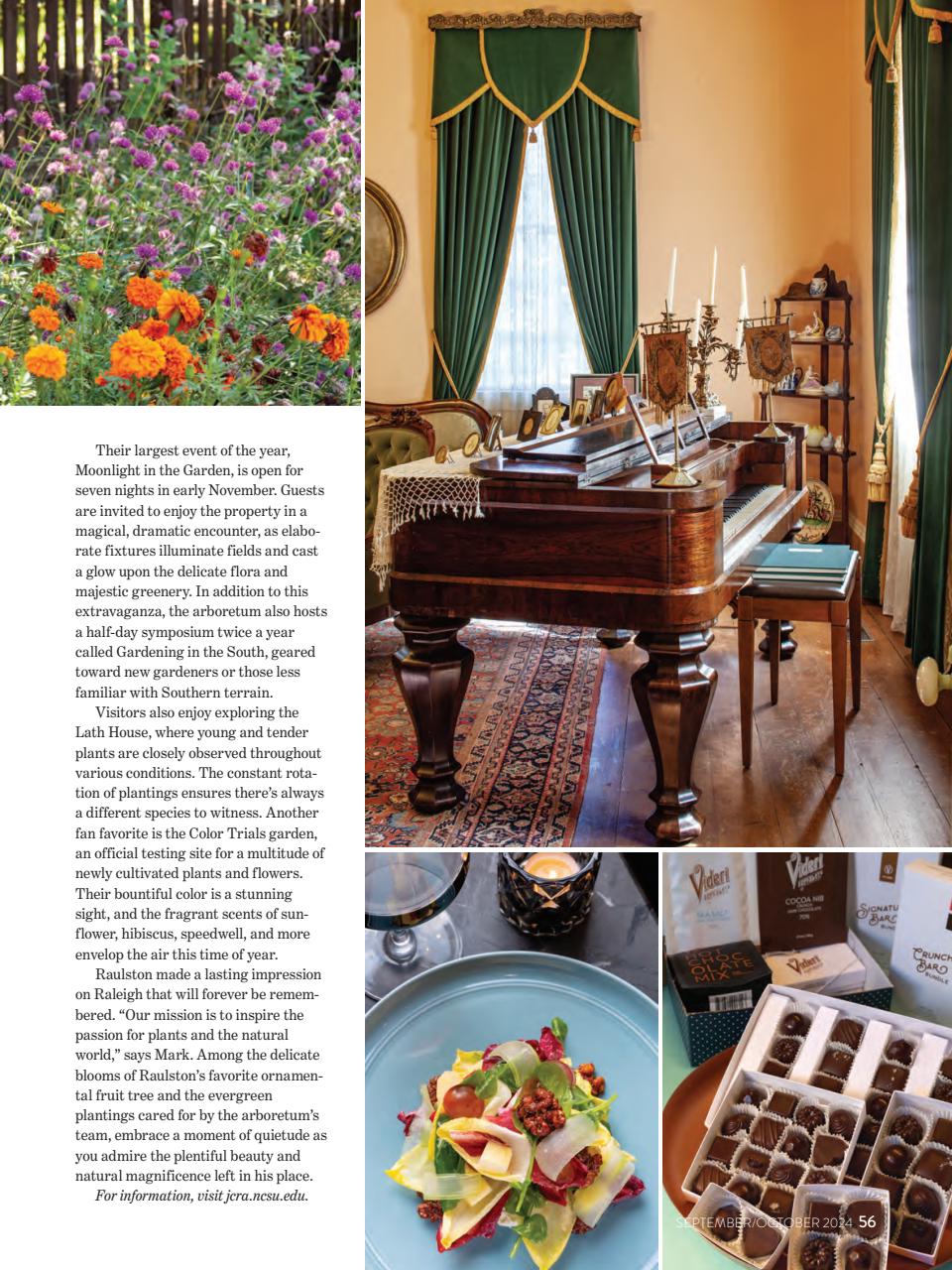 Southern Lady Preview Pages