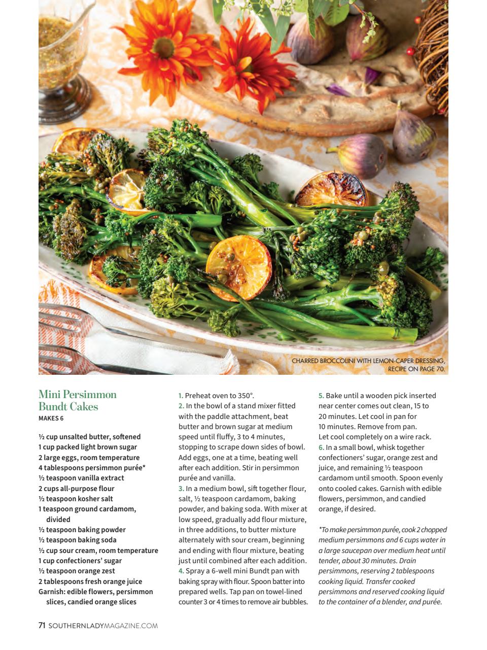 Southern Lady Preview Pages