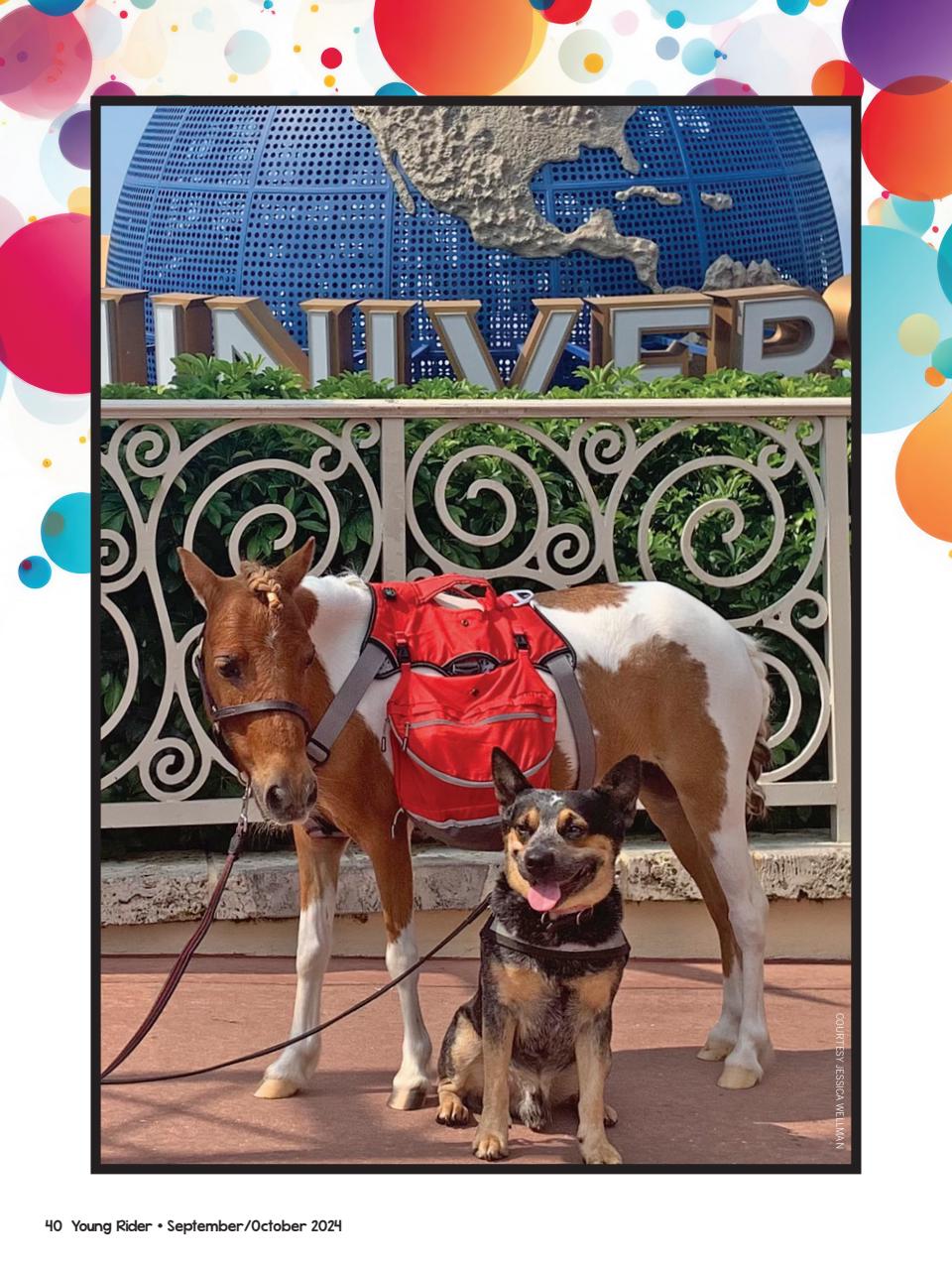 Young Rider Magazine Preview Pages