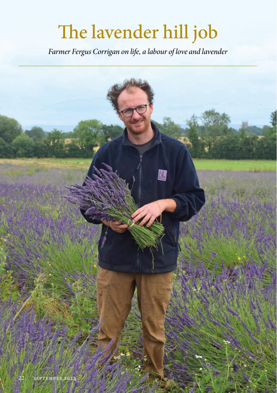 The Yorkshire Dalesman Preview Pages