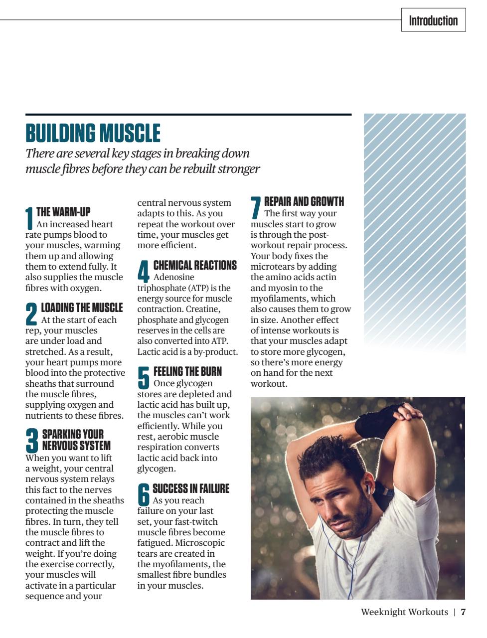 Men’s Fitness Guides Preview Pages
