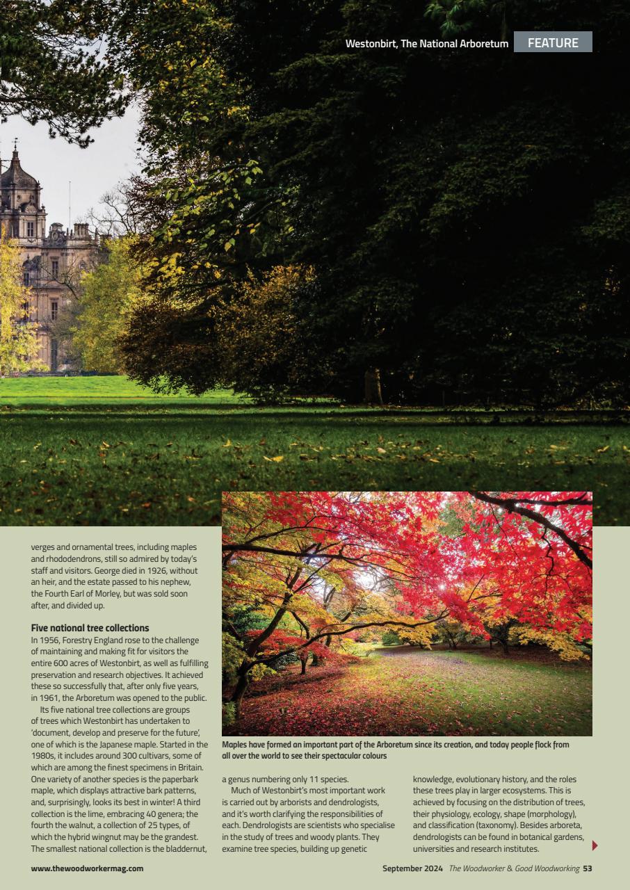 The Woodworker Magazine Preview Pages