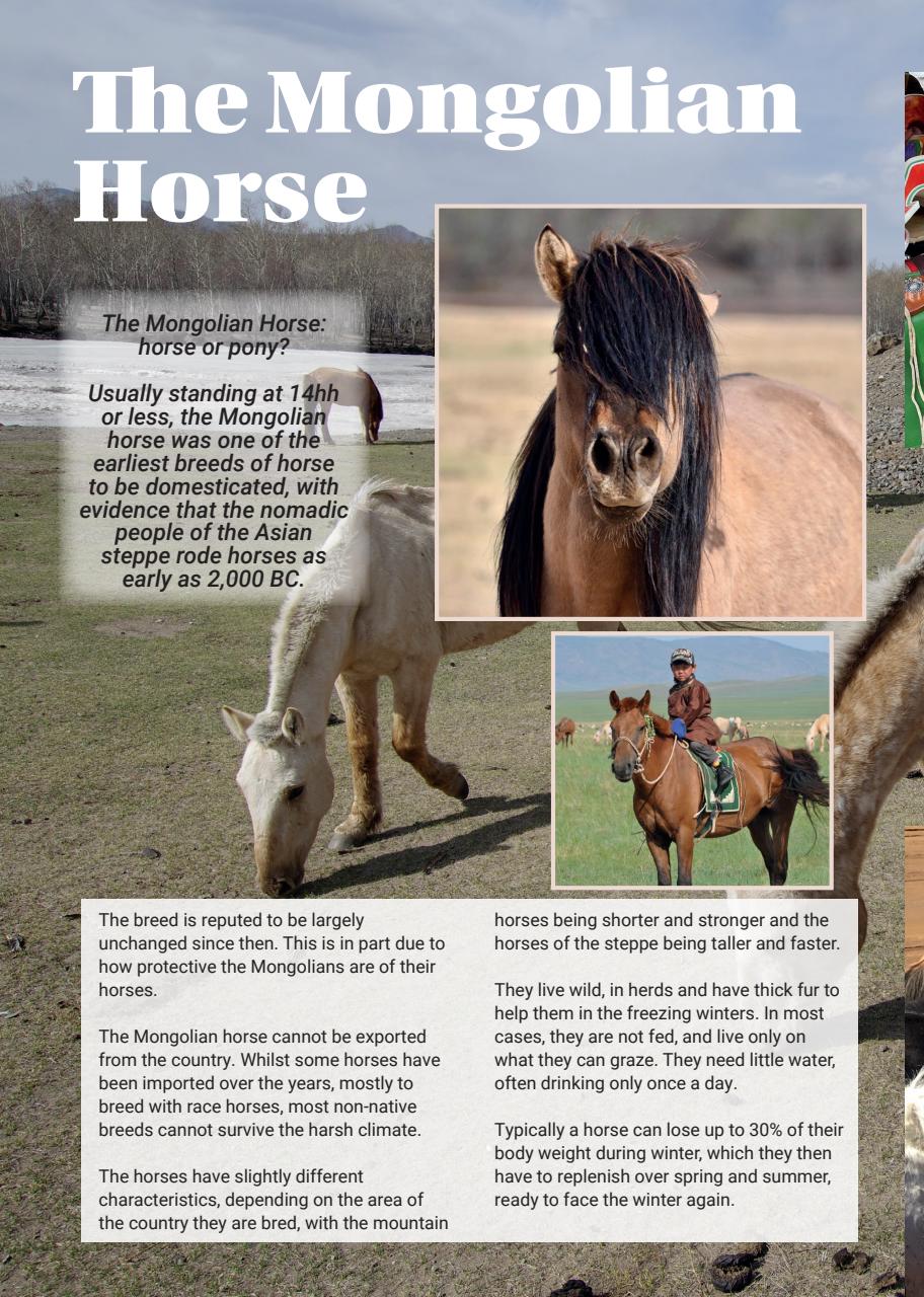 Boys Ride Too Preview Pages