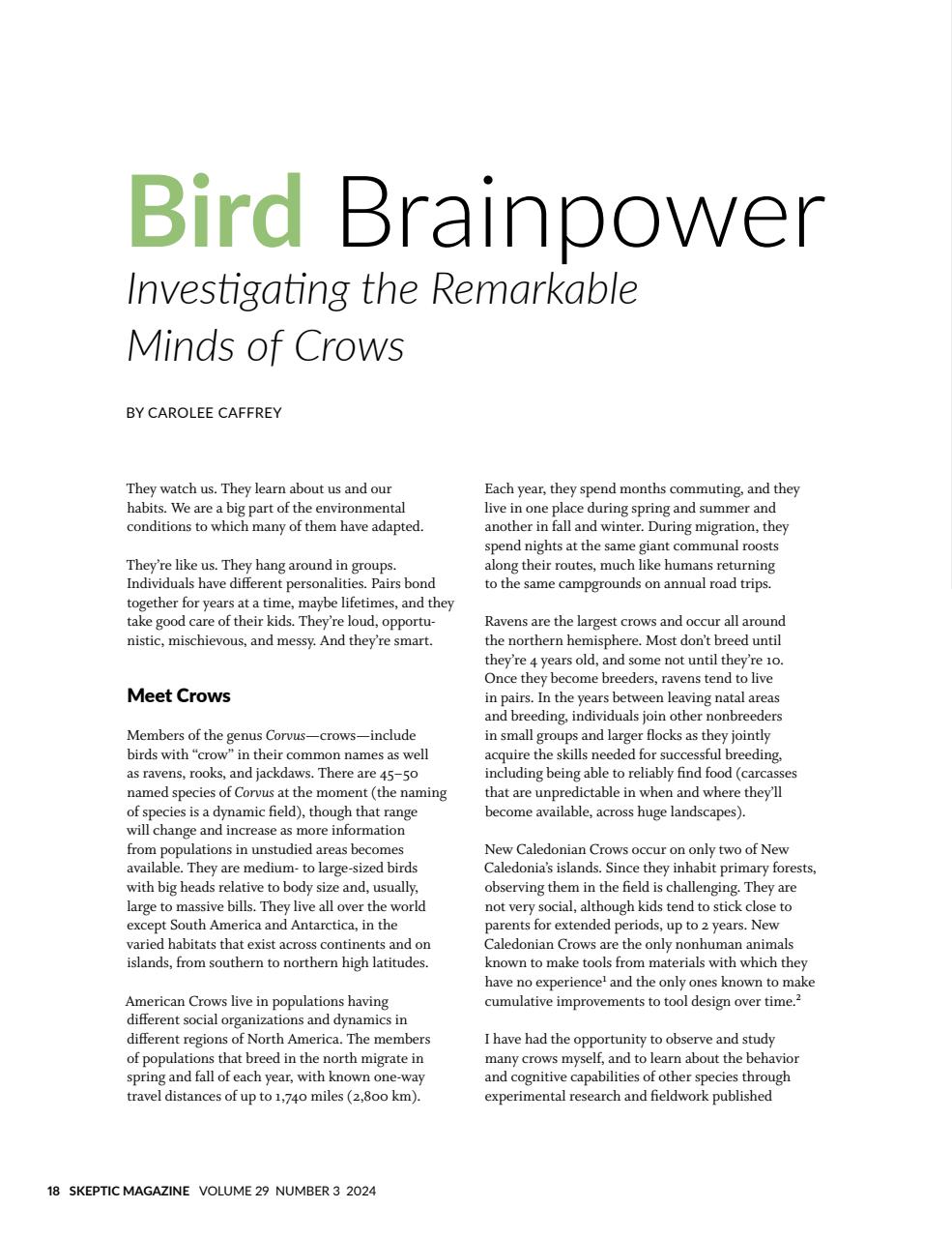 Skeptic Preview Pages