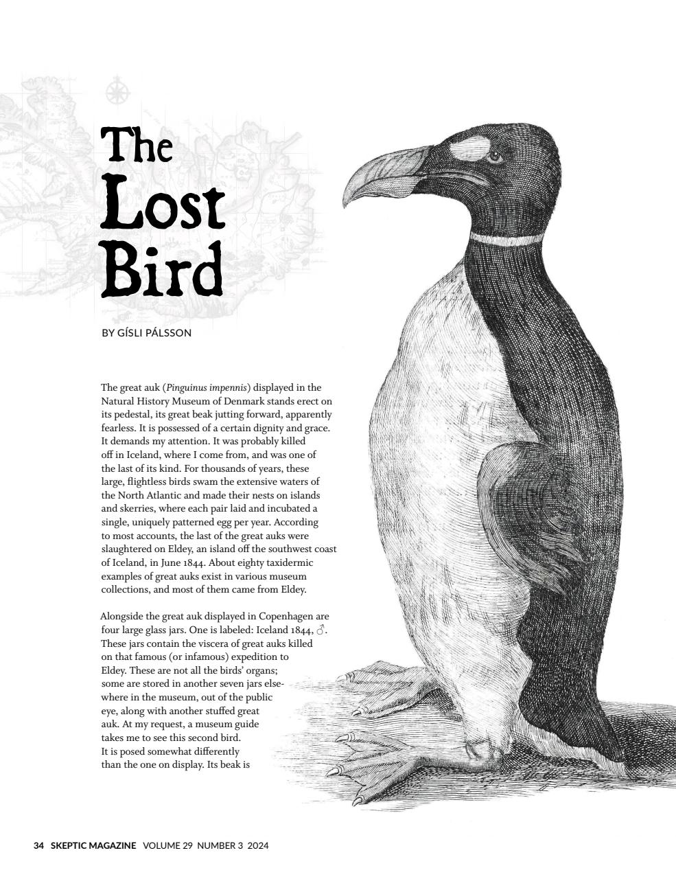 Skeptic Preview Pages