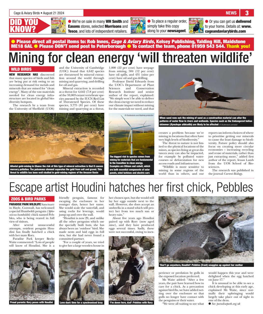 Cage & Aviary Birds Preview Pages