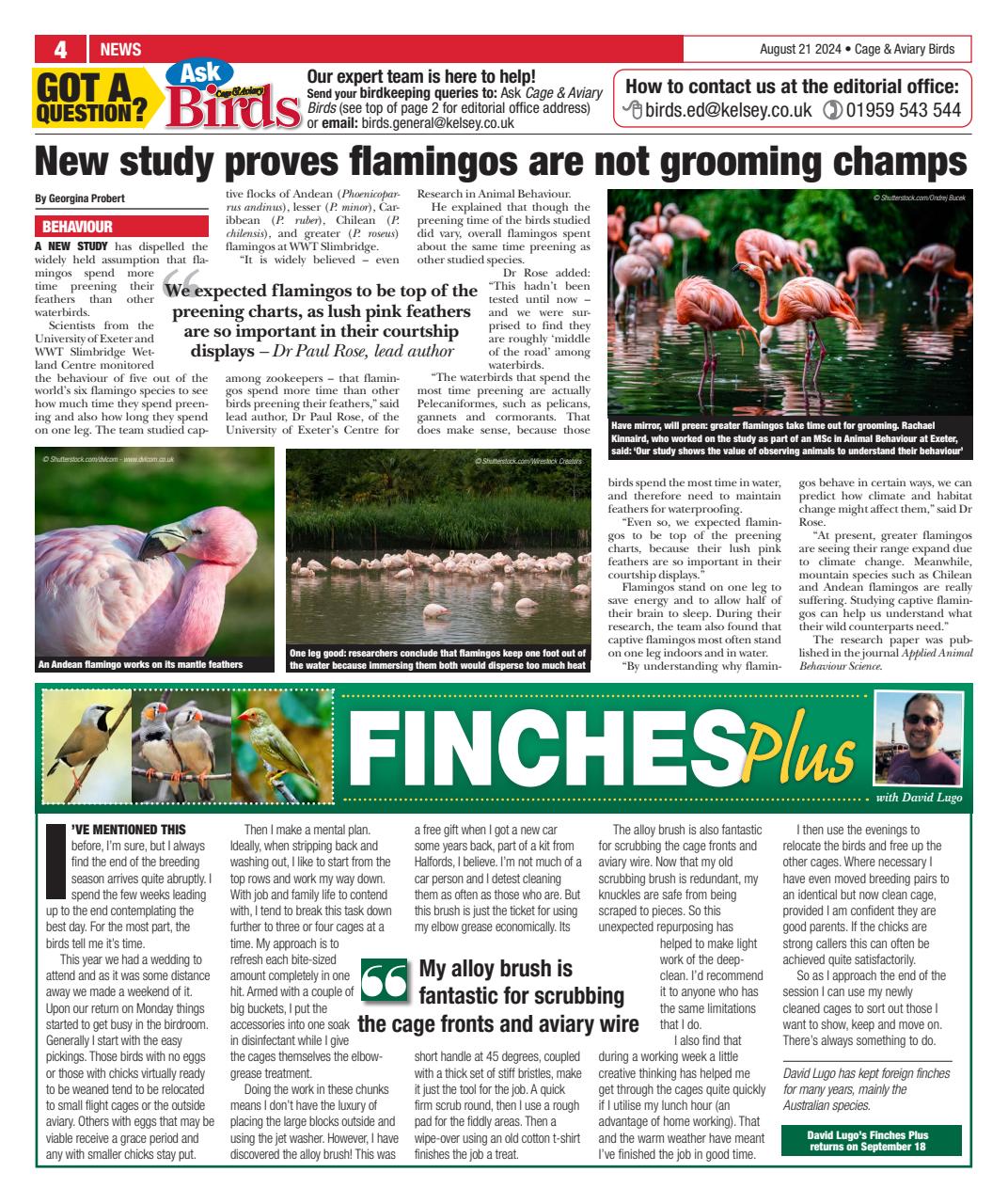 Cage & Aviary Birds Preview Pages