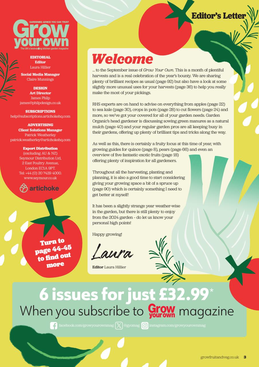 Grow Your Own Preview Pages