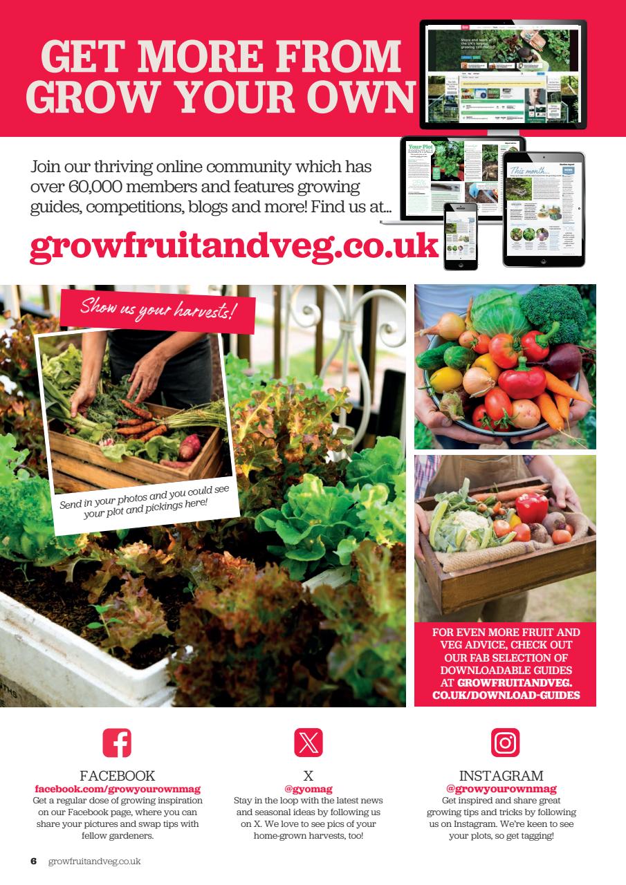 Grow Your Own Preview Pages