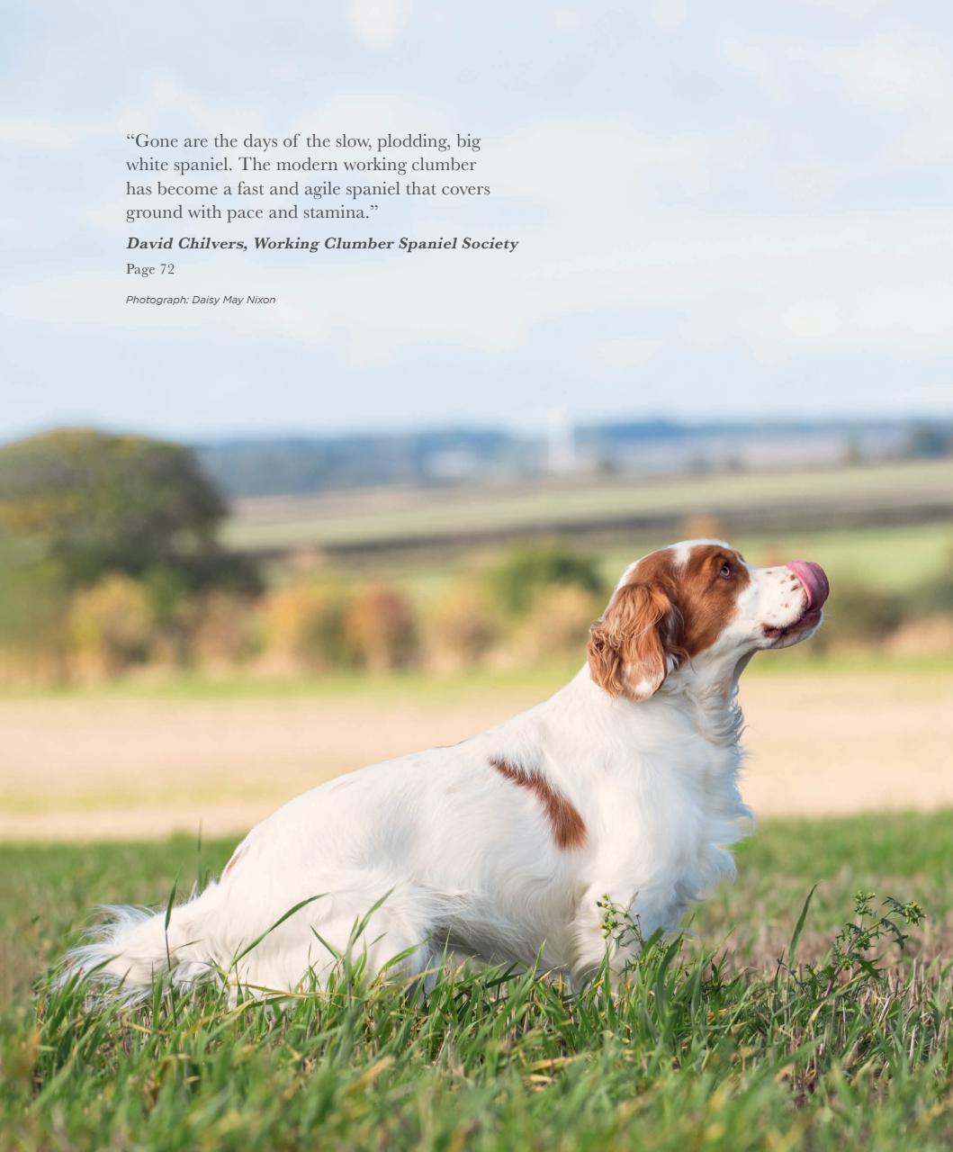 Gundog Journal Preview Pages