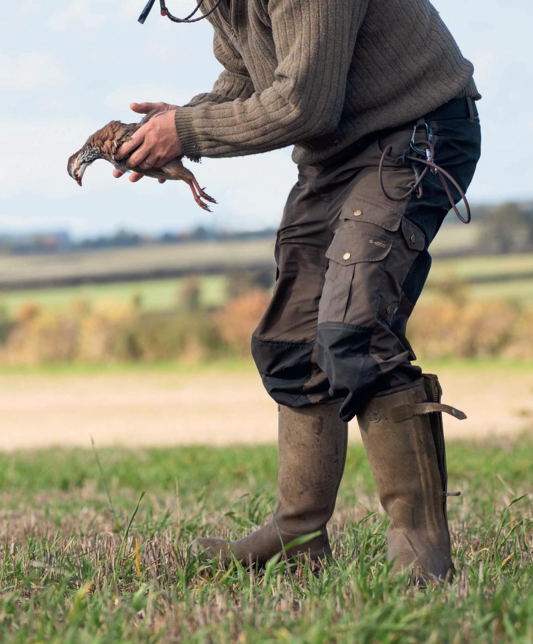 Gundog Journal Preview Pages