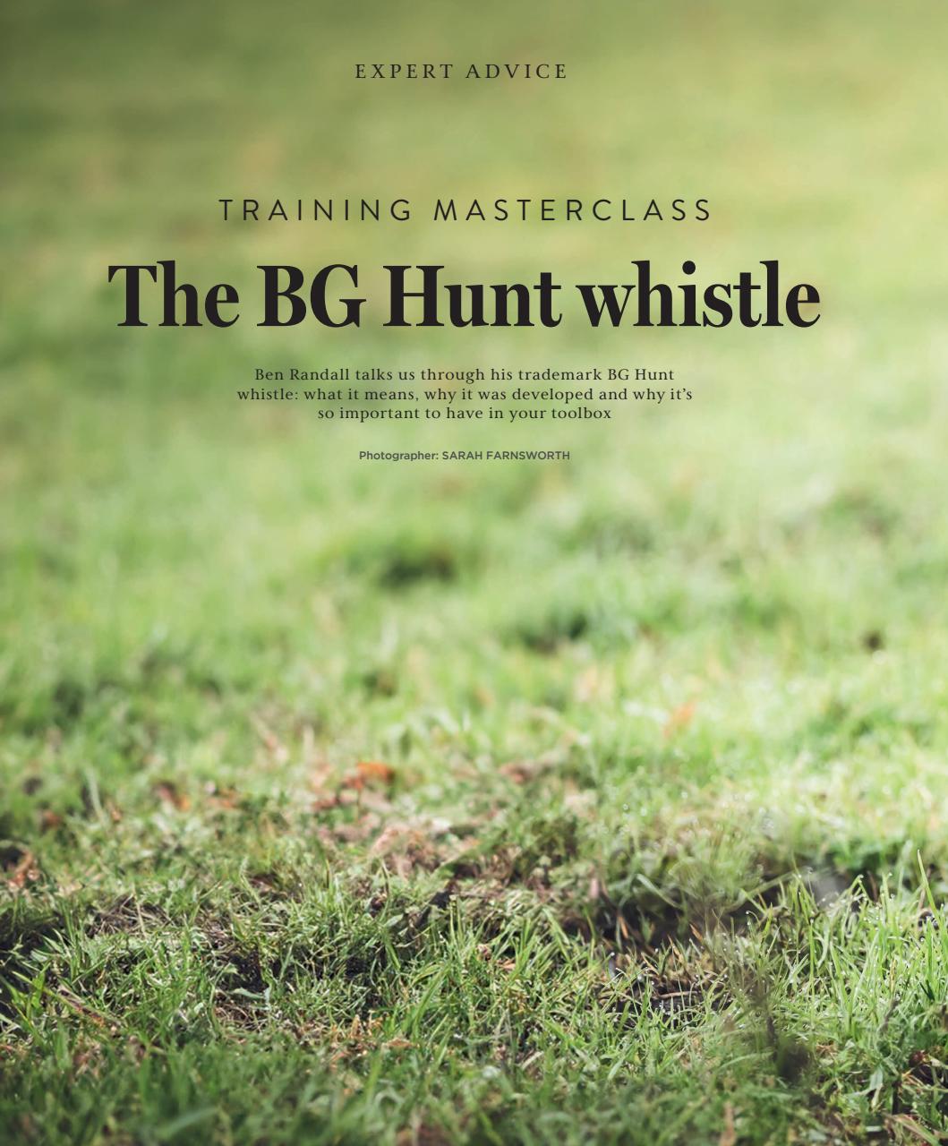Gundog Journal Preview Pages